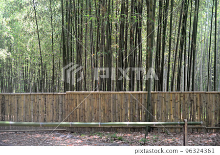 Kyoto Osawa pond back bamboo grove walking path-7 Kyoto Osawa pond back bamboo grove walking path-7 96324361