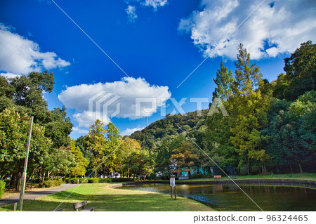 Autumn Leaves - Culture Park Autumn Leaves - Culture Park 96324465