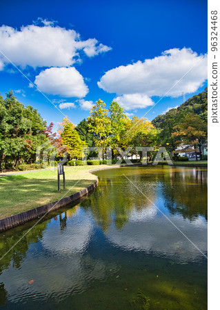 Autumn Leaves - Culture Park Autumn Leaves - Culture Park 96324468
