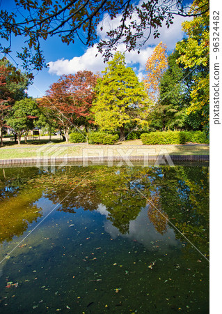 Autumn Leaves - Culture Park Autumn Leaves - Culture Park 96324482