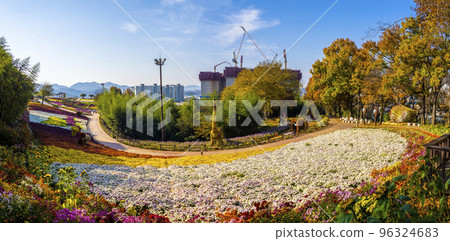 和順菊花節美麗綻放的菊花花園 和順菊花節美麗綻放的菊花花園 96324683