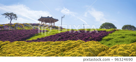 和順菊花節美麗綻放的菊花花園 96324690