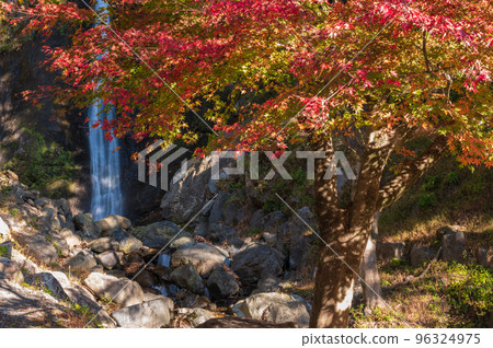Fall foliage and Mikami Falls 96324975