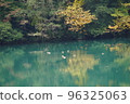 autumn river and waterfowl 96325063
