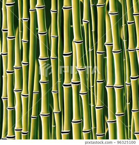 Bamboo that fills the screen Bamboo that fills the screen 96325100