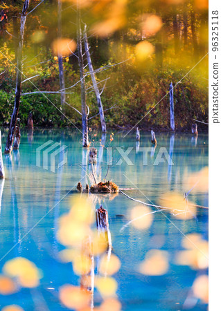 秋葉藍色池塘 96325118