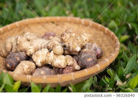 Jerusalem artichoke Jerusalem artichoke 96326840