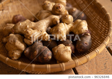 菊久茂 菊久茂 96326846