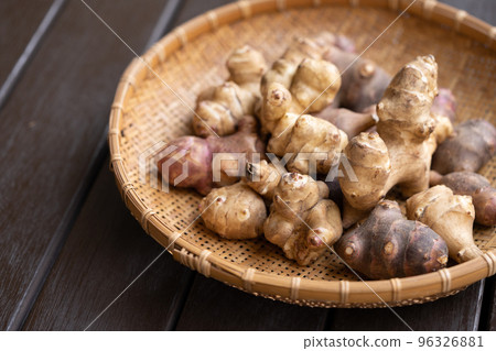 菊久茂 菊久茂 96326881