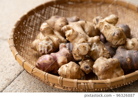 菊久茂 菊久茂 96326887