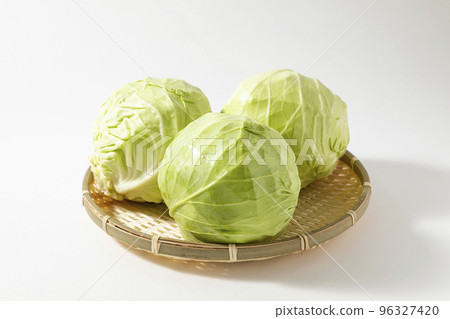 圓白菜白色背景 96327420