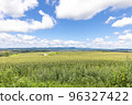 北海道藍天玉米田 96327422