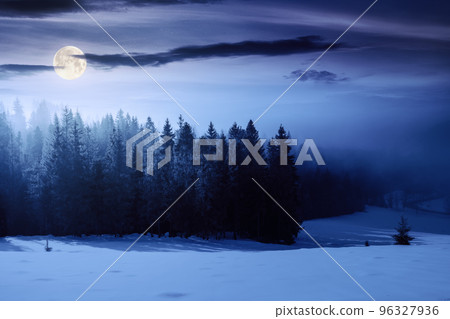 mountain landscape on a foggy night. beautiful winter scenery with spruce trees on a snow covered hill in full moon light mountain landscape on a foggy night. beautiful winter scenery with spruce trees on a snow covered hill in full moon light 96327936