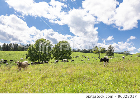 Sapporo Gourmet Soup Curry 96328017