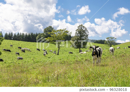 札幌美食湯咖哩 札幌美食湯咖哩 96328018