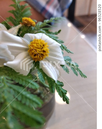 Macro flower Macro flower 96328520