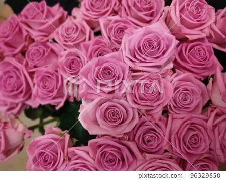 Bouquet of pink roses 96329850