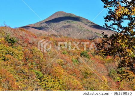 秋季萬代山黃金線的景色 96329980