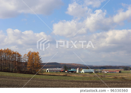 Scenery with farms in the Tokachi region of Hokkaido Scenery with farms in the Tokachi region of Hokkaido 96330360