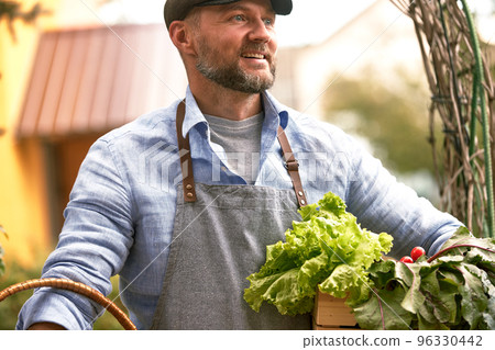 Close up of a mature male farmer is holding a basket with fresh harvested at the moment vegetables satisfied with his harvest Close up of a mature male farmer is holding a basket with fresh harvested at the moment vegetables satisfied with his harvest 96330442