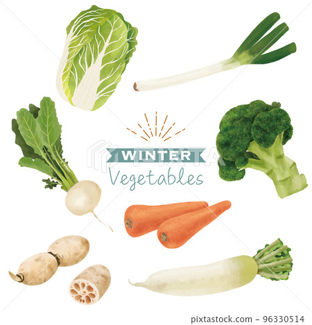 各種冬季蔬菜水彩畫集 各種冬季蔬菜水彩畫集 96330514