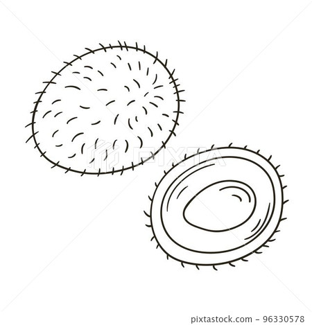 Set of vector illustrations in hand drawn style. Coloring poster with fruits Set of vector illustrations in hand drawn style. Coloring poster with fruits 96330578