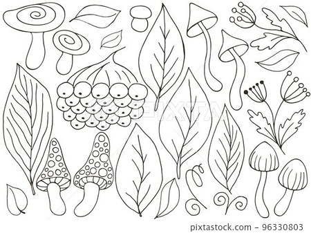 Autumn. Monochrome illustration in hand drawn style Autumn. Monochrome illustration in hand drawn style 96330803