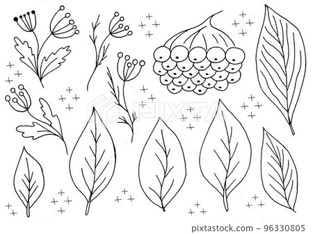 Autumn. Monochrome illustration in hand drawn style Autumn. Monochrome illustration in hand drawn style 96330805