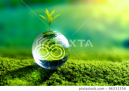 Renewable energy concept Earth Day or environment protection Hands protect forests that grow on the ground and help save the world. 96331556