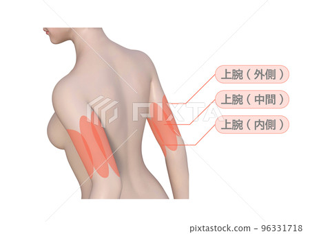 女性想要手臂減肥的上半身後視圖 3D 插圖 女性想要手臂減肥的上半身後視圖 3D 插圖 96331718