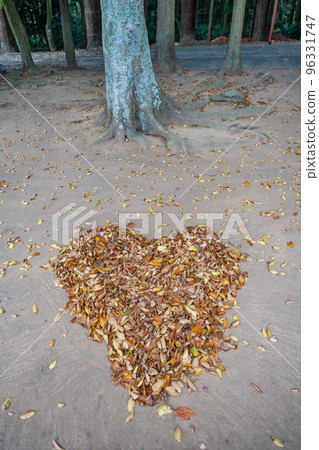 Mutsu Sojagu Fallen Leaves 秋葉之心 Precincts 96331747