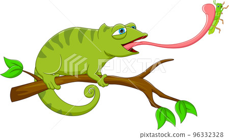 cartoon chameleon catching grasshopper with tongue cartoon chameleon catching grasshopper with tongue 96332328