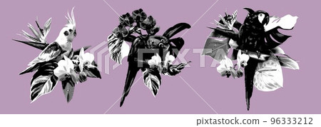 graphic engraving set of tropical bouquets. Cockatoo. Realistic ink illustration ara birds graphic engraving set of tropical bouquets. Cockatoo. Realistic ink illustration ara birds 96333212