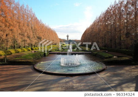 winter park 96334324