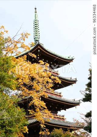 Ueno Toshogu Shrine 96334468