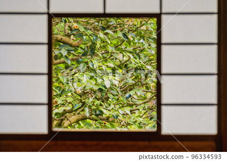 Autumn Unryu-in Renge-no-ma, Kyoto City, Kyoto Prefecture 96334593
