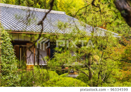 京都府京都市雲龍院秋天的泉龍寺 96334599