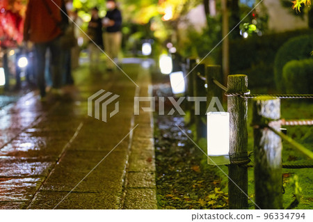 Autumn leaves of Zenrinji Temple (Eikando) illuminated in Sakyo-ku, Kyoto 96334794