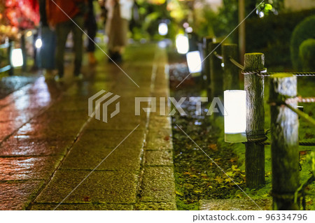 Autumn leaves of Zenrinji Temple (Eikando) illuminated in Sakyo-ku, Kyoto 96334796