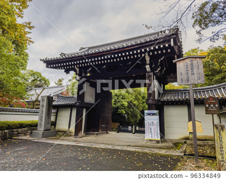 京都府京都市泉湧寺大門的秋天 96334849