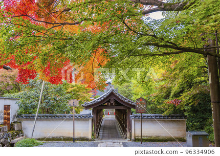 Tofuku-ji Temple in autumn, autumn leaves and Engetsukyo Bridge, Kyoto City, Kyoto Prefecture 96334906