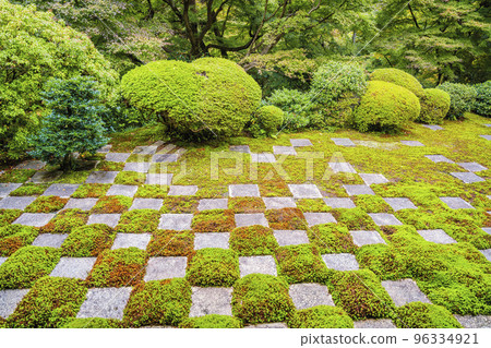 京都府京都市北條北庭秋色的東福寺 京都府京都市北條北庭秋色的東福寺 96334921