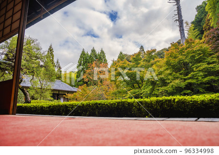 京都府京都市雲龍院秋天的泉龍寺 96334998