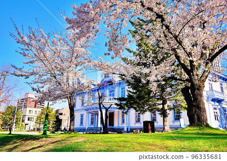 Cherry blossoms in front of Hoheikan, Nakajima Park, Sapporo City, Hokkaido 96335681