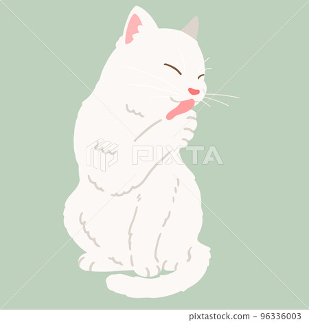 Illustration of a white cat grooming No main line 96336003
