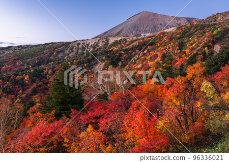 "Fukushima Prefecture" Tengu Garden/Bandai Azuma Skyline "Autumn leaves at its peak" 96336021