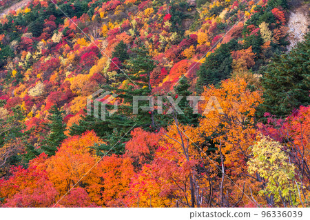 “福島縣”天狗花園/萬代吾妻天際線“紅葉高峰” 96336039
