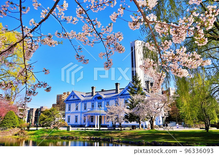 Cherry blossoms in front of Hoheikan, Nakajima Park, Sapporo City, Hokkaido 96336093