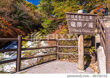 《栃木縣》秋天的龍頭瀑布・紅葉季節 96336316
