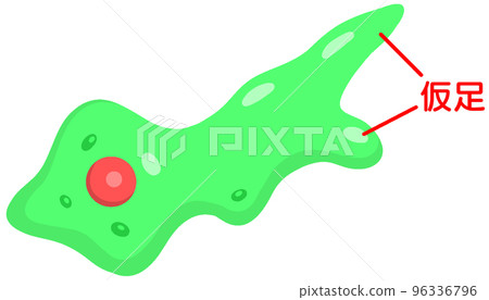 Pseudopodia Pseudopodia 96336796